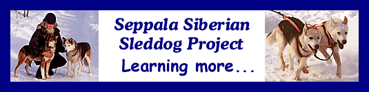 Learning More About Siberian Husky Bloodlines, an educational service sponsored by the Seppala Siberian Sleddog Project in Canada's Yukon Territory.